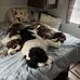 Scott Twiss - Facebook