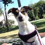 Scott Ulm - @scottyu1234 - Instagram