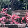 Scot Funderburg - @scot.funderburg - TikTok