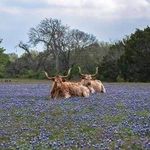 Scott Underhill - @scottunderhill5845378 - Instagram