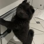scott - @scott.urso - Instagram