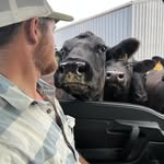 Scott Utterback - @utterbacklandandcattle - Instagram