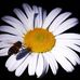 Scott Utterback - Facebook