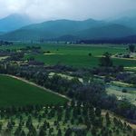 Lauren Sweezey - @scottvalleyagwa - Instagram
