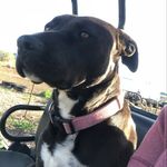 Scott Valley Feed - @scott.valley.feed - Instagram