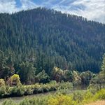 Scott Valley Finds - @scottvalleyfinds - Instagram