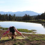Scott Valley Wildflower Yoga - @svwildfloweryoga - Instagram