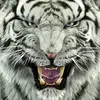 scottvancil1493 - @scottvancil1493 - TikTok