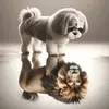 scott - @scottshiesty - TikTok