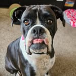 Scott VanGilder - @firechicken.88 - Instagram