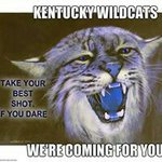 Scott Vanhoose - @bluegrass_brawler - Instagram