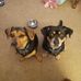 Scott Van Vliet - Facebook