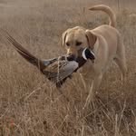 Scott Vasko - @wyo_scott - Instagram