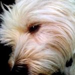 Scott Veale - @scottnj123 - Instagram