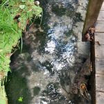 scott veenstra - @scottveenstra - Instagram