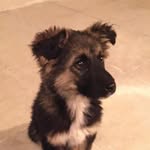 scott & vegas - @scottandvegas - Instagram