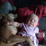 Scott Vest - @scott.vest.370 - Instagram