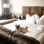 @scott_vieths - Instagram