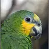Scott Vine - @scott.vine1 - TikTok