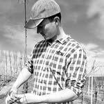 Scott Patterson - @scottpattersonvineyard - Instagram