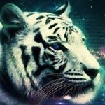 Scott HERVOIT - @scotthervoit33 - Instagram