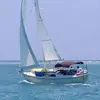 Scott Volkers - @scott.volkers - TikTok
