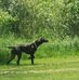 Scott Volkert - Facebook