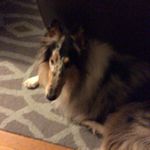 Scott Vreeland - @svreeland2021 - Instagram