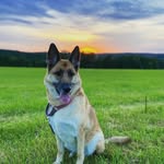 Scott Vroman - @vropro08 - Instagram
