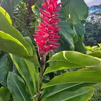 Scott Wakeman - Facebook