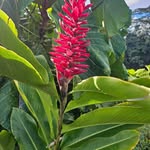 Scott Wakeman - @m.scottwakeman - Instagram