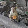 Scott - @scott.vdh - TikTok