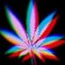 Scott Walmsley - Facebook