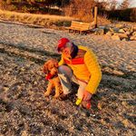 Scott Walmsley - @sjwalmsley - Instagram