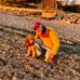 Scott Walmsley - Facebook