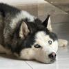Ofertas Scott - @ofertas.scott - TikTok