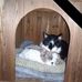Scott Paul Wampler - Facebook