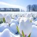 Scott Wangler - Facebook