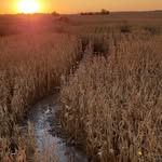 Scott Wargo - @cheeto1090 - Instagram