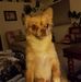 Scott Warner - Facebook