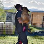 Scott Warner - @dogs.cooking.bbq.obsessed - Instagram