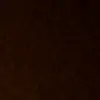 Scott Shaw - @scottsha.w - TikTok