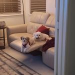 Scott Warshaw - @scottwarshaw - Instagram