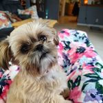 Scott Wayman - @scottwayman - Instagram