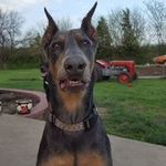 Scott Weddle - @scott.weddle.71 - Instagram