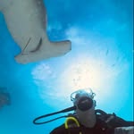 Scott Weigel - @weigel.scott - Instagram