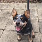 Scott Weinreich - Facebook