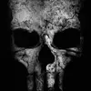 Scott - @scott.weiser - TikTok