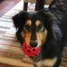 Scott Weisgerber - Facebook