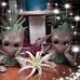 Kimberly Scott Welcome - Facebook